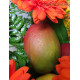 Cesta de Frutas y Flores Martinica