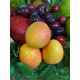 Cesta de Frutas y Flores Tropicana