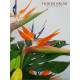 Cesta de Frutas y Flores Tropicana