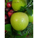 Cesta de Frutas y Flores Tropicana
