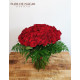 Ramo de 80 Rosas Rojas Pasión