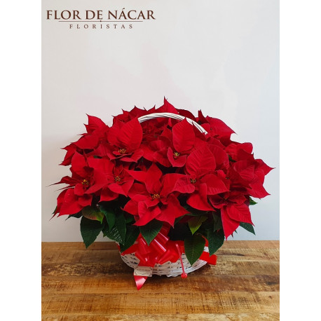 Cesta con Flor de Pascua Cuarteto